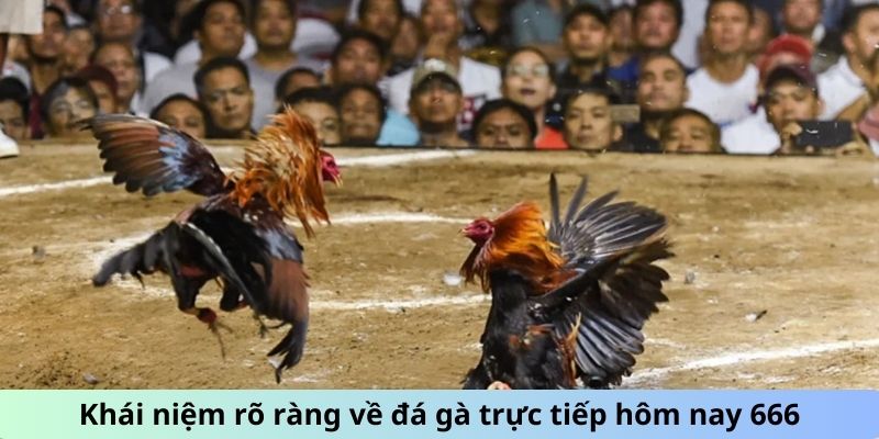 Đá Gà Trực Tiếp Hôm Nay 666 Với Các Chiến Kê Máu Lửa 1 Trang Chủ Jun88.com #1 Việt Nam Khái niệm rõ ràng về đá gà trực tiếp hôm nay 666