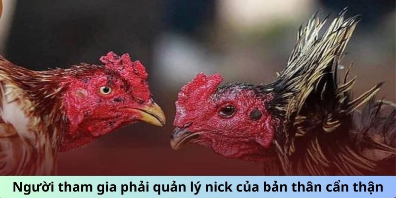 Đá Gà Trực Tiếp Hôm Nay 666 Với Các Chiến Kê Máu Lửa 3 Trang Chủ Jun88.com #1 Việt Nam Người tham gia phải quản lý nick của bản thân cẩn thận